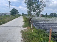 Bán 2000m2 đất phủ Hồng Hẻm Nguyễn Thông, LaGi giá ngộp 1 triệu/m2