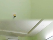 CHÍNH CHỦ CHO THUÊ PHÒNG TRỌ ĐẸP – THOÁNG MÁT – GIỜ GIẤC TỰ DO