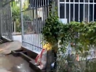 BÁN NHANH DÃY TRỌ ĐANG KINH DOANH TỐT TẠI Huyện Châu Thành, Tỉnh