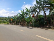 Bán gấp 3771m2 đất thổ cư tại Tân Lạc, Hòa Nam, Di Linh, Lâm Đồng.