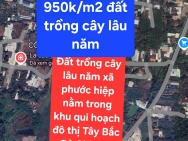 BÁN GẤP 14.250M² ĐẤT TRỒNG CÂY LÂU NĂM TẠI XÃ PHƯỚC HIỆP, HUYỆN CỦ