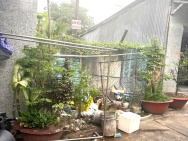 CƠ HỘI SỞ HỮU NỀN ĐẸP TRUNG TÂM TP. CÀ MAU