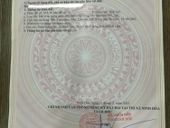 Chính chủ cần bán đất tại thôn Đống Đa, xã Ninh Sim, thị xã Ninh