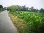 ĐẤT ĐẸP – GIÁ ĐẦU TƯ –CẦN BÁN ĐẤT MẶT TIỀN Tại Đ. 762, XÃ AN NHƠN