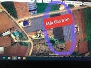 Bán 3120m2 đất xã Tân Hội Đức Trọng Lâm Đồng 4,2 tỷ