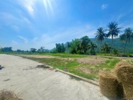 ĐẤT ĐẸP- GIÁ ƯU ĐÃI CHÍNH CHỦ BÁN NHANH LÔ ĐẤT TIỀM NĂNG tại Phường