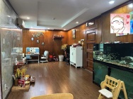 CHÍNH CHỦ CẦN BÁN GẤP CĂN HỘ HOÀNG ANH GIA LAI 2 – VIEW PHÁO HOA