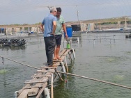 CHÍNH CHỦ CẦN BÁN ĐẤT MẶT TIỀN ĐƯỜNG LÝ NHƠN – CẦN GIỜ, TPHCM