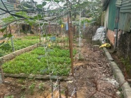 Đất đầu tư Phú Xuyên tại thôn Văn Hội  giá rẻ nhất thị trường