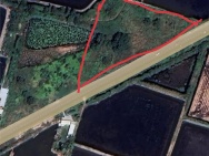 ĐẦU TƯ SINH LỜI - Chính Chủ Bán Bán Đất MẶT TIỀN QL Quản Lộ Phụng