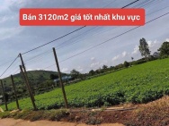 Bán 3120m2 đất xã Tân Hội Đức Trọng Lâm Đồng 4 tỷ