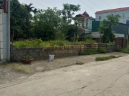 203M PHÚ NGHĨA-CHƯƠNG MỸ-HÀ NỘI