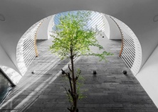 Những xu hướng thiết kế giếng trời năm 2022 để ngôi nhà sang, đẹp