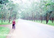 Giá đất nông nghiệp ở nhiều nơi vẫn ‘nóng’