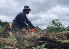 Cảnh báo lừa đảo tại dự án sân bay Long Thành