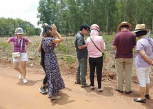 Nhà đầu tư vẫn âm thầm lướt sóng đất nền ven Sài Gòn