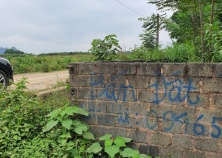 Giới nhà giàu ôm tiền đi 