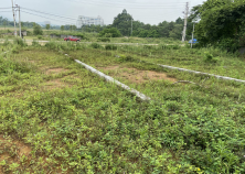 Hòa Lạc lại sốt đất 'ảo': Môi giới quảng cáo 'nóng', thực tế 'lạnh'