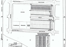 Hủy 15 sổ hồng cấp trái quy định vụ đấu giá đất ở Phan Thiết