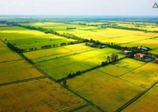 Đất nông nghiệp là gì? Có nên đầu tư hay không?