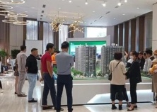 Gần 2.300 doanh nghiệp môi giới BĐS buộc phải “nghỉ đông” trong giai đoạn “thanh lọc” thị trường 