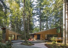 Nhà đối xứng năng lượng mặt trời ẩn mình giữa rừng linh sam