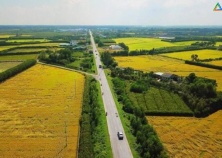 Sổ đỏ là gì? Vai trò, điều kiện, hồ sơ và thủ tục xin cấp sổ đỏ