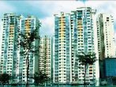 Căn hộ chung cư An Phú Apartment