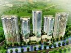 Căn hộ chung cư Mulberry Land