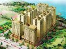 Căn hộ chung cư Đại An - Saigon Riverside