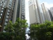 Căn hộ chung cư Hyundai HillState