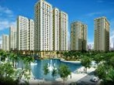 Căn hộ chung cư Eco Luxury Thạch Bàn