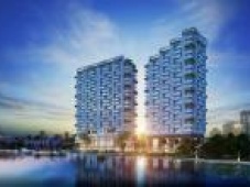 Căn hộ chung cư Elite park