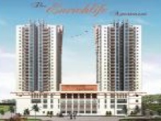 Căn hộ chung cư Enrichlife Apartment