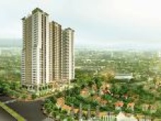 Căn hộ chung cư Luxury Park View
