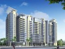 Căn hộ chung cư Mon Central