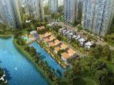 Căn hộ chung cư River Terrace