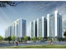 Căn hộ chung cư SongDa IDC Tower