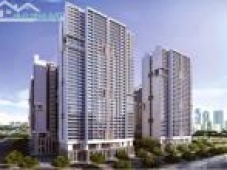 Căn hộ chung cư The Golden Palm