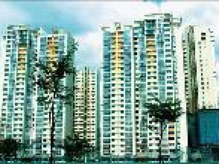 Căn hộ chung cư An Phú Apartment