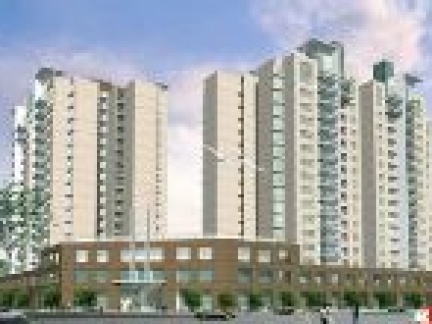 Căn hộ chung cư Chelsea Park