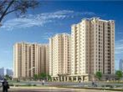 Căn hộ chung cư IDICO Tân Phú