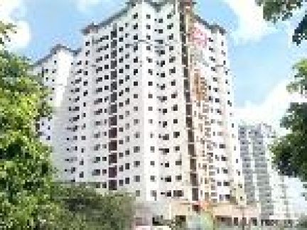 Căn hộ chung cư Nhất Lan