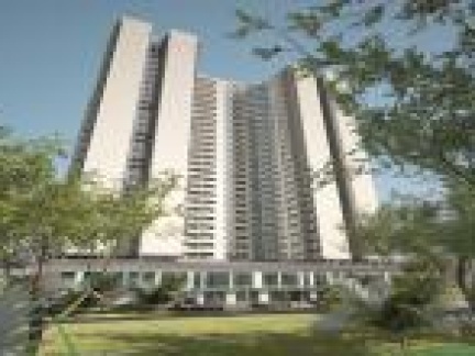 Căn hộ chung cư Southern Park