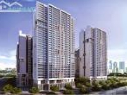 Căn hộ chung cư The Golden Palm