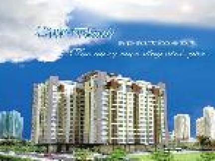 Căn hộ chung cư Võ Đình Apartment